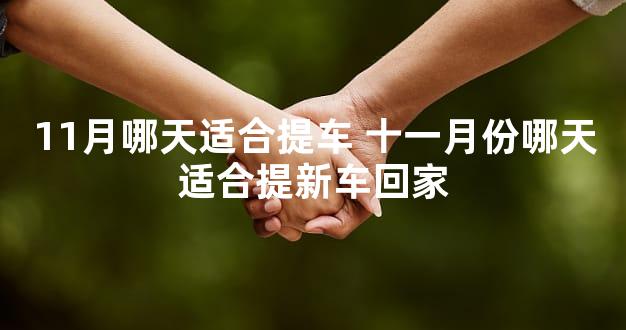 11月哪天适合提车 十一月份哪天适合提新车回家